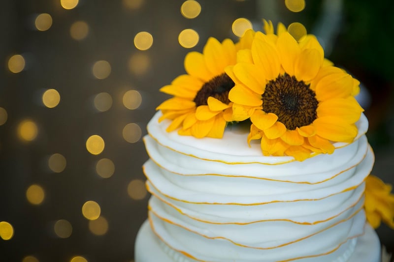 Meteorite Cake Toppers